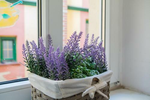 Apartament Atramentowy