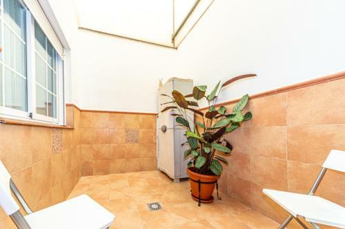 Apartamento Clavel
