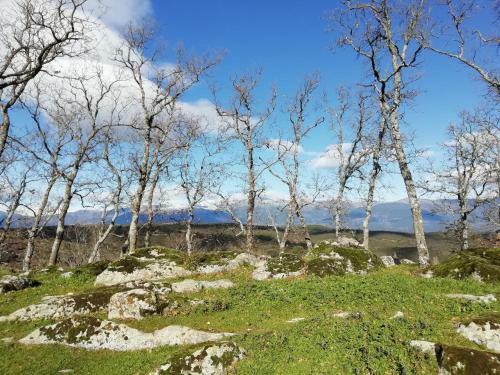 Villa Casa Rural La Molina 4*