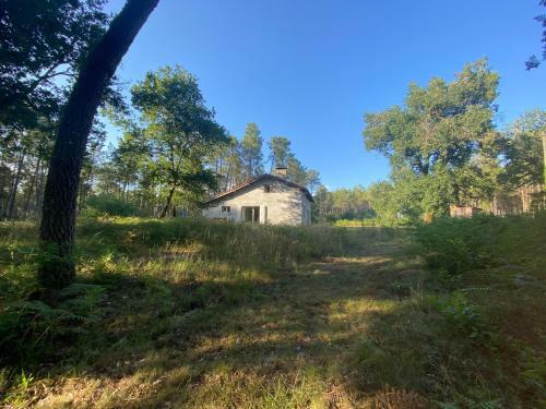 Maison Foresti�re Sur Le Site D?un Ancien Moulin