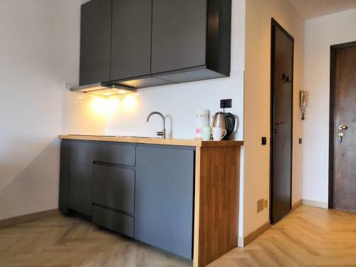 Ski&bike Apartment Passo Tonale