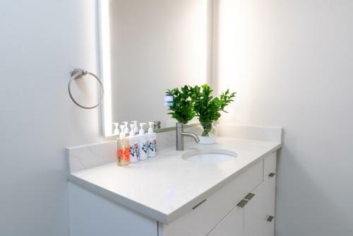 Apartamento Belhaven Heights Lofts By Barsala