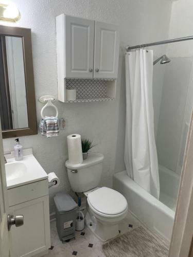 Entire Newly 3-bedroom Remodeled Home. Spacious