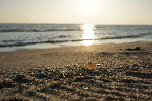 Strandvilla Baabe 5 - Meeresgl�ck - A69795