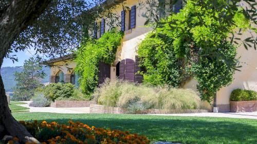 Villa Sant'isidoro 8
