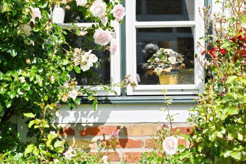 Apartamento Landhaus Vilmnitz - Wohnung 2