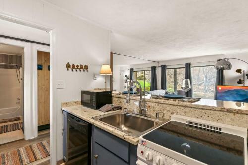 1br 1ba Mountain Holiday Ski Chalet