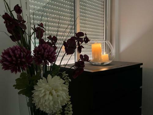 Apartamento Alcal�