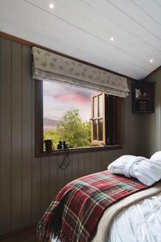 Hooting Owl Retreat