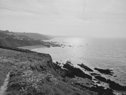 Trewebster