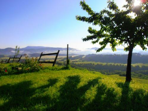 Agroturismo La Colticciola