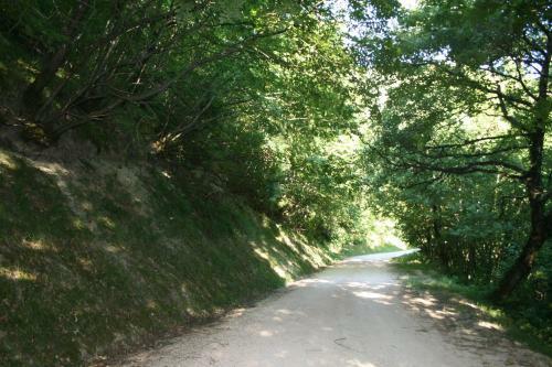 Agroturismo La Colticciola