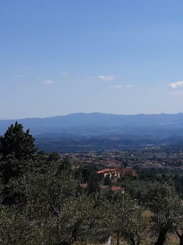 Agrifarm La Corte Apartment