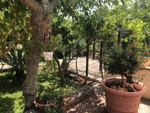 Hostal Trullo Bonaventura