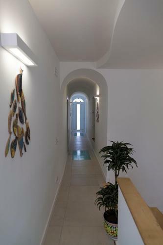 Bed & Breakfast Amam� Home
