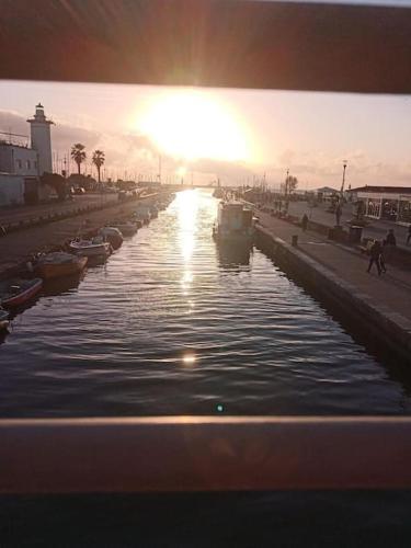 Mobile Home Viareggio - Camping Paradiso - R008