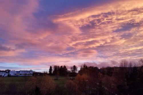 Apartamento Appartemet Peter Kurhotel Schluchsee