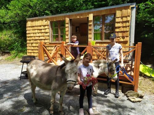 Waldh�tte Am Eselhof