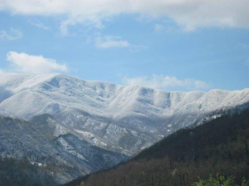 Bed & Breakfast Lalocandadeidori