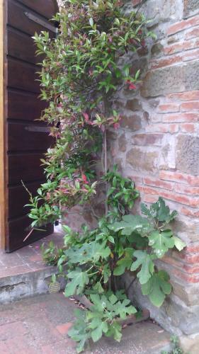 Holiday Home Belvedere