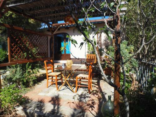 Apartamento Jungle Room