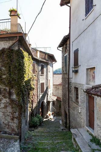 La Dimora Del Nonno Cesco