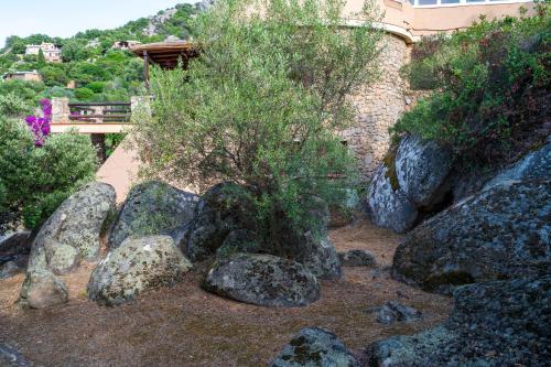 Apartamento I Lecci 3 - Klodge