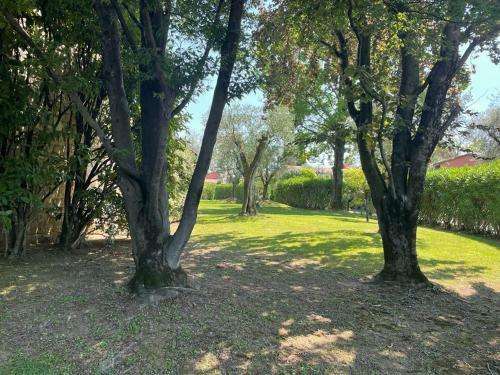 Garda Golf Country Chic Home