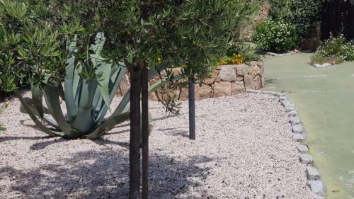 Apartamento Liscia Di Vacca_ Bilocale A