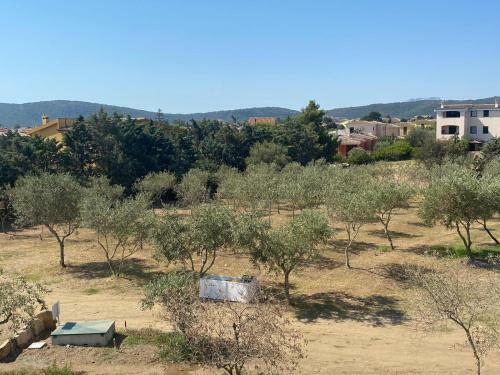 Hostal Villa Lentischio