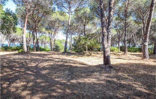 Nice Home In Budoni With 1 Bedrooms