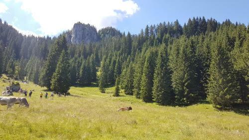 Apartamento Ferienhaus Fussenegger