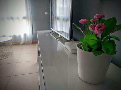 Espacioso Apartamento De 2 Dormitorios