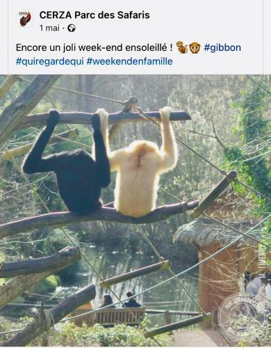 Mobil Home R�sidentiel Dans Un Parc Forestier