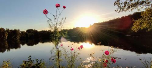 Bed & Breakfast Domaine Du Castellare