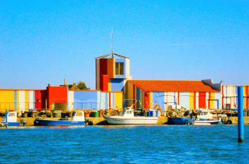 Apartamento Cap Coudalere