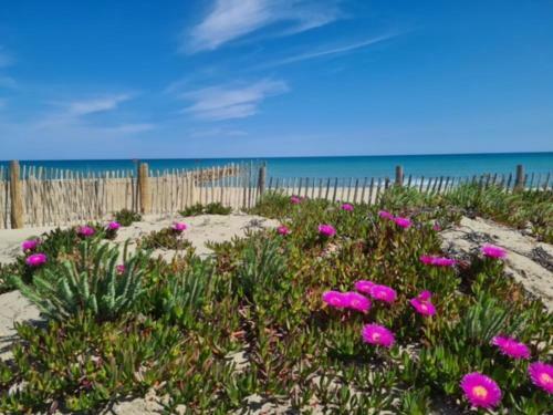 En Plein C?ur de Ville Proximit� Plage - 4concor2