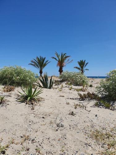 En Plein C?ur de Ville Proximit� Plage - 4concor2