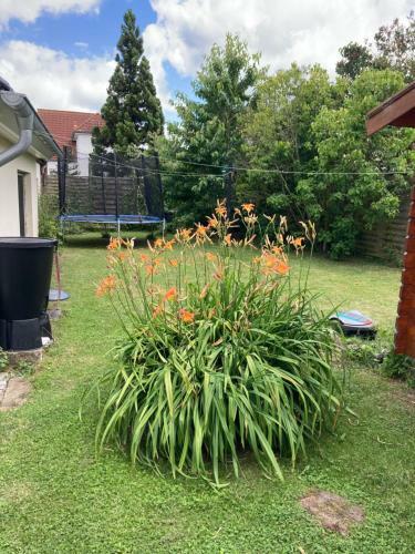 Apartamento Ferienhaus Stralsundia