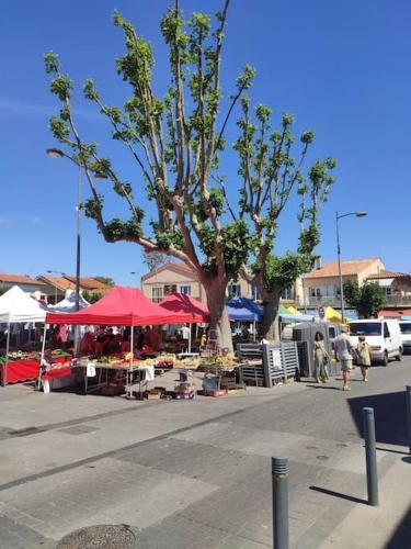 Apartamento Harmonie Du Sud