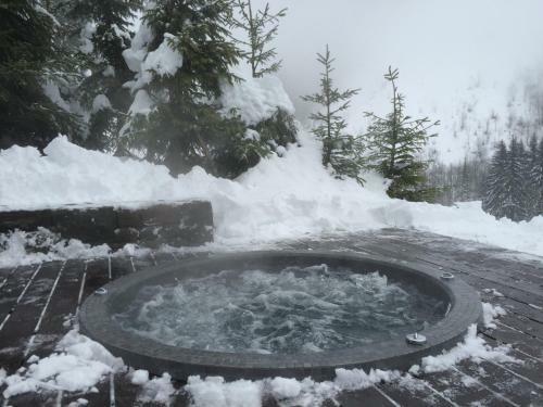 Bed & Breakfast Chalet 1864