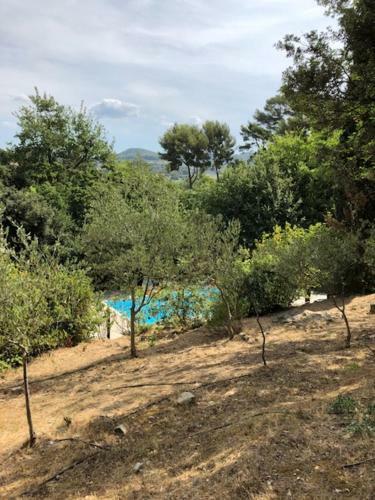 Le Petit Moulin