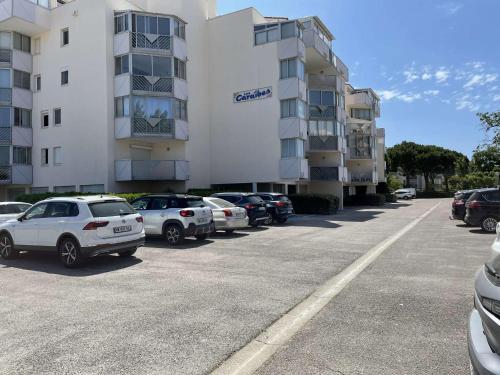 Apartment Le Grau Du Roi, Studio Flat, 4 Persons - Fr-1-250-236