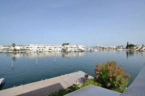 La Marina Des Camarguaises