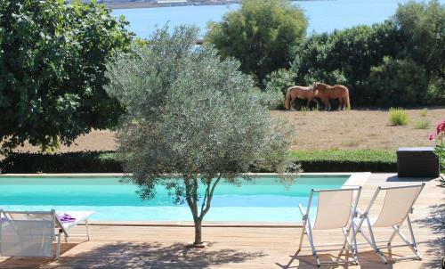 Santa Igia B&B - Country House