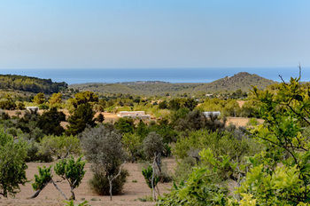Villa Monte Dalt