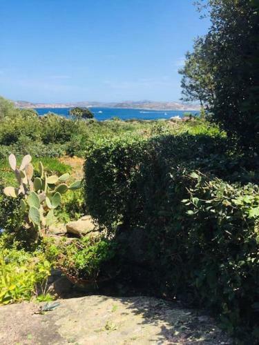 Villa Anna Maria Porto Rafael