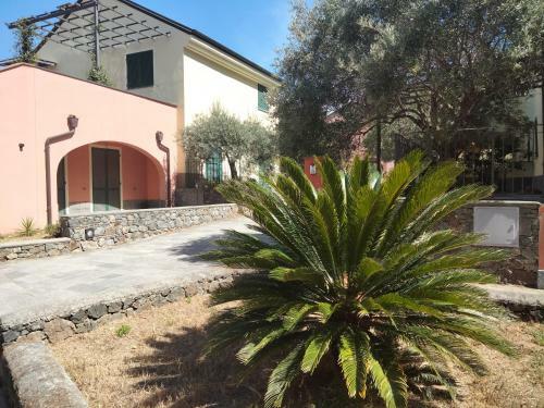 Apartamento Oasi