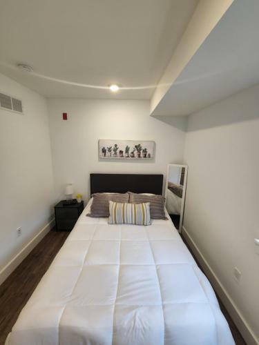 Lovely 1 Bedroom Apartment In S Phila