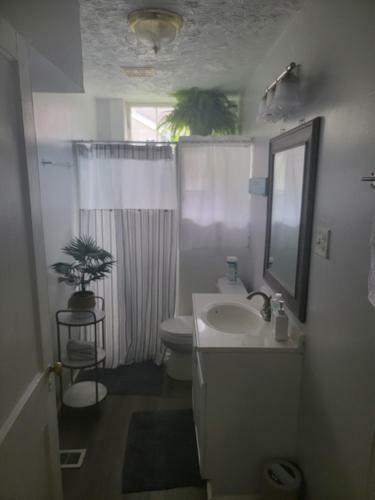 Apartamento Rustic Sourhern Home